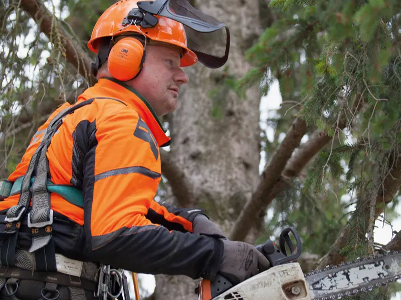 Michael Göschl bei der Baumpflege mit Kettensäge und zertifizierter Sicherheitsausrüstung.